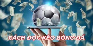 Các bước cơ bản trong hướng dẫn đọc kèo nhà cái hiệu quả