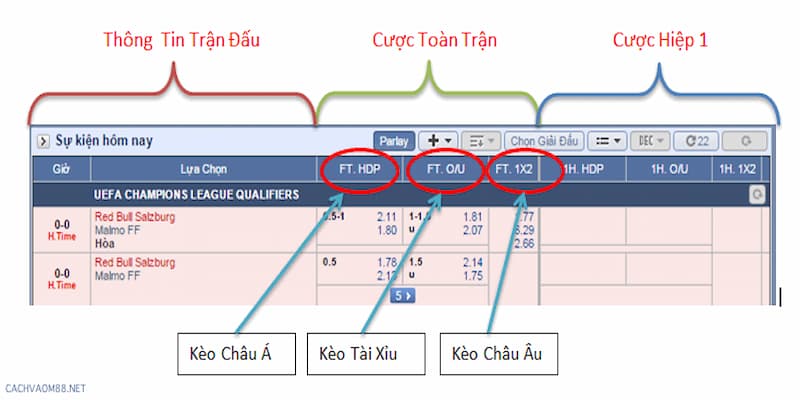 Các loại kèo phổ biến trong hướng dẫn đọc kèo nhà cái