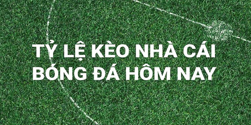 Các loại tỷ lệ kèo bóng đá phổ biến và cách đọc hiểu