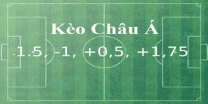 Các loại Tỷ lệ kèo châu Á phổ biến trong kèo nhà cái