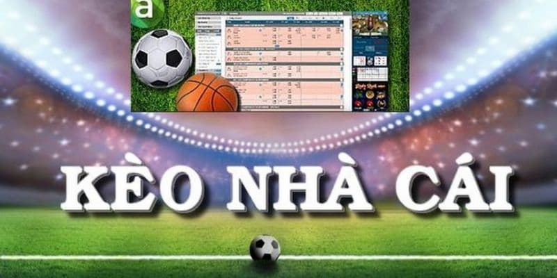 Các yếu tố quan trọng trong phần giới thiệu kèo nhà cái