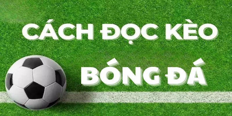 Cách ứng dụng hướng dẫn đọc kèo nhà cái trong thực tế
