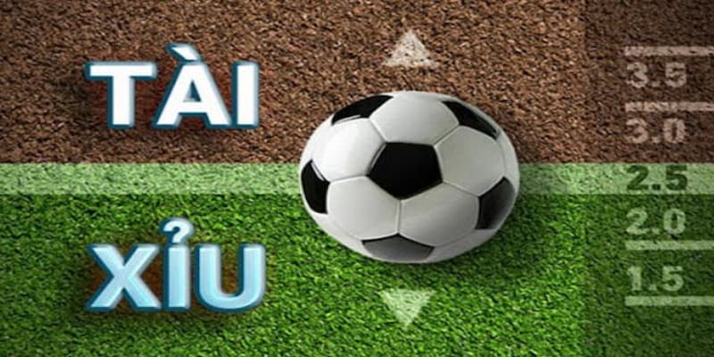 Khái niệm và cách đọc Kèo tài xỉu 2.5 nghĩa là gì