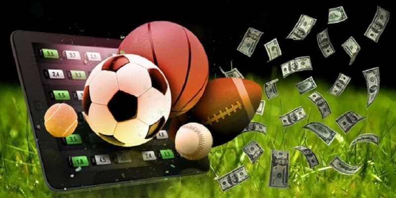 Kinh nghiệm chọn nhà cái uy tín từ chuyên gia kèo nhà cái