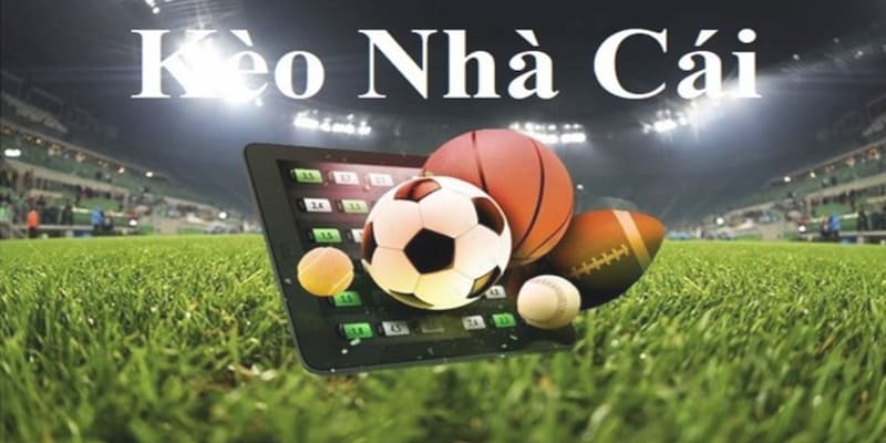 Quản lý vốn – chiến thuật dài hơi cho dân cá cược thông minh