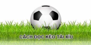 Tổng hợp những mẹo thắng kèo tài xỉu trong bóng đá đỉnh cao