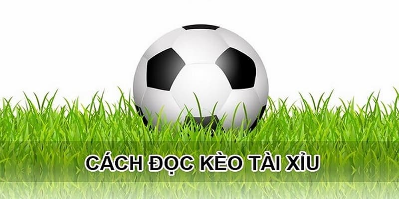 Tổng hợp những mẹo thắng kèo tài xỉu trong bóng đá đỉnh cao